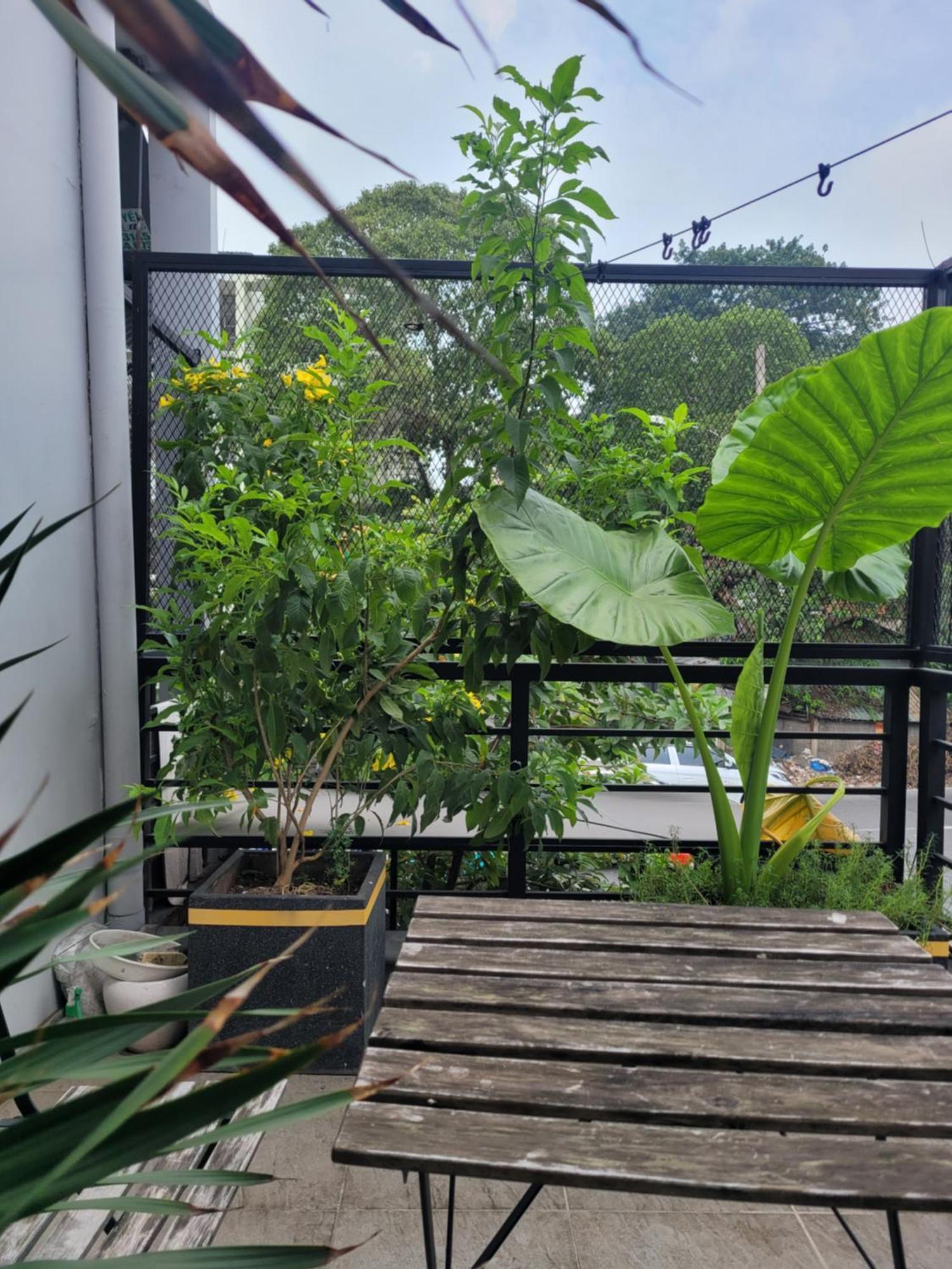 Agk House - Homestay - 406 Xo Viet Nghe Tinh, P25, Binh Thanh, Gan Nga 4 Hang Xanh Хошимін Екстер'єр фото